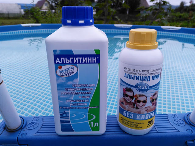 Альгициды
