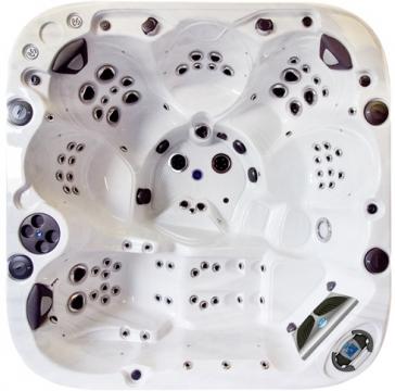 СПА бассейн Coast Spas Apex Elite (рис.2)